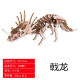 3D立體DIY恐龍骨架拼裝玩具
