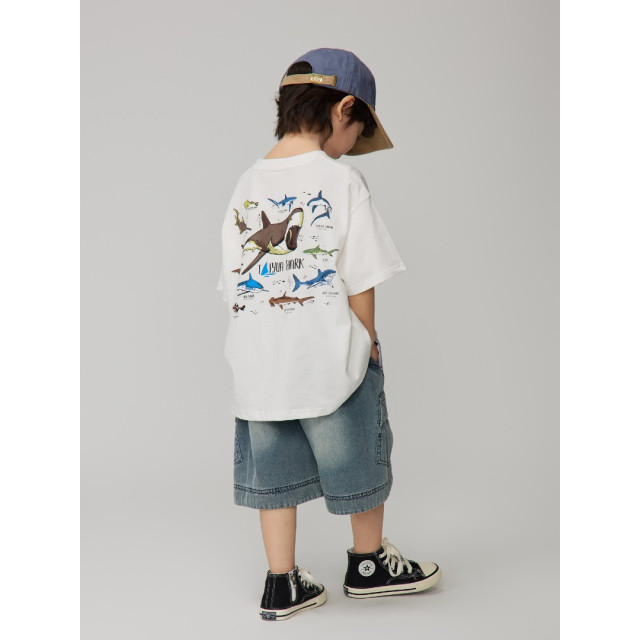 趣味海洋鯊魚短Ｔ