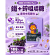 韓國 ILDONG My.ni 鐵＋鋅咀嚼糖 接骨木莓風味 