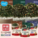 韓國 Dongwon 東遠 양반 韓式海苔酥 50g
